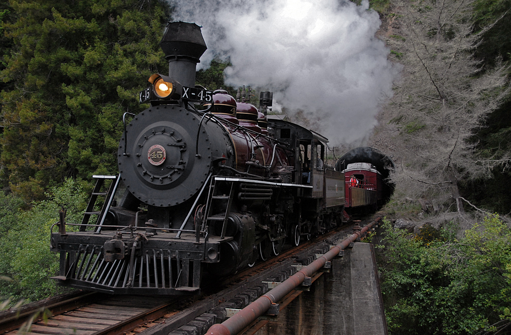 Skunk Train skunk train