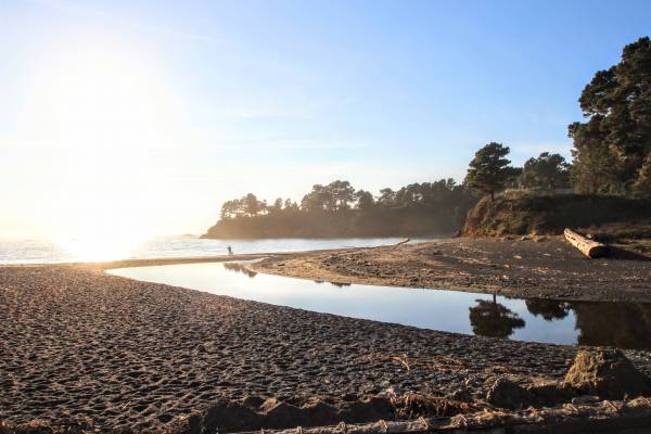 Homes with Beach Access