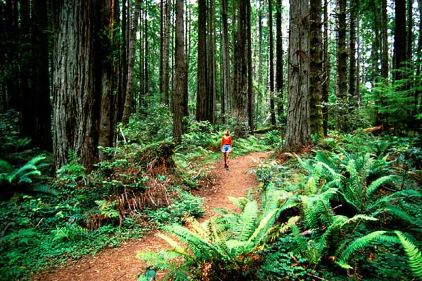 mendocino hiking trails